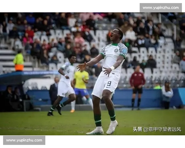 尼日利亚对阵法国赛事前瞻与胜负走向深度预测分析全面数据解读