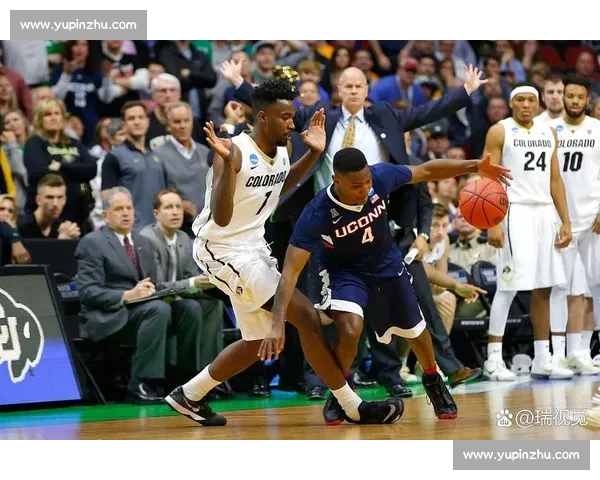 森林狼强势迎战独行侠 西部焦点对决点燃季后赛悬念