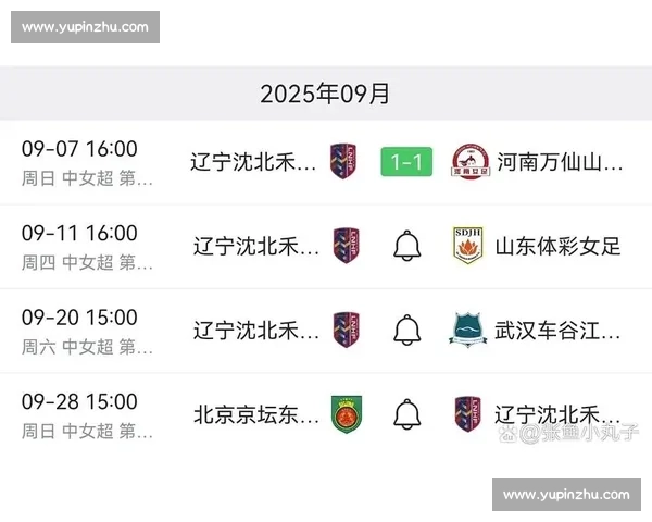 辽宁队逆袭天津成功 迎来关键胜利赛季进入白热化阶段