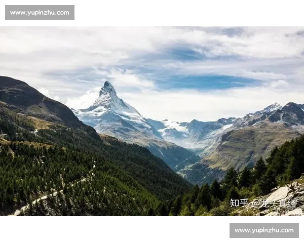 耀威猜对决祖耶夫视频全解析力量技术与胜负关键瞬间回顾深度战术博弈亮点